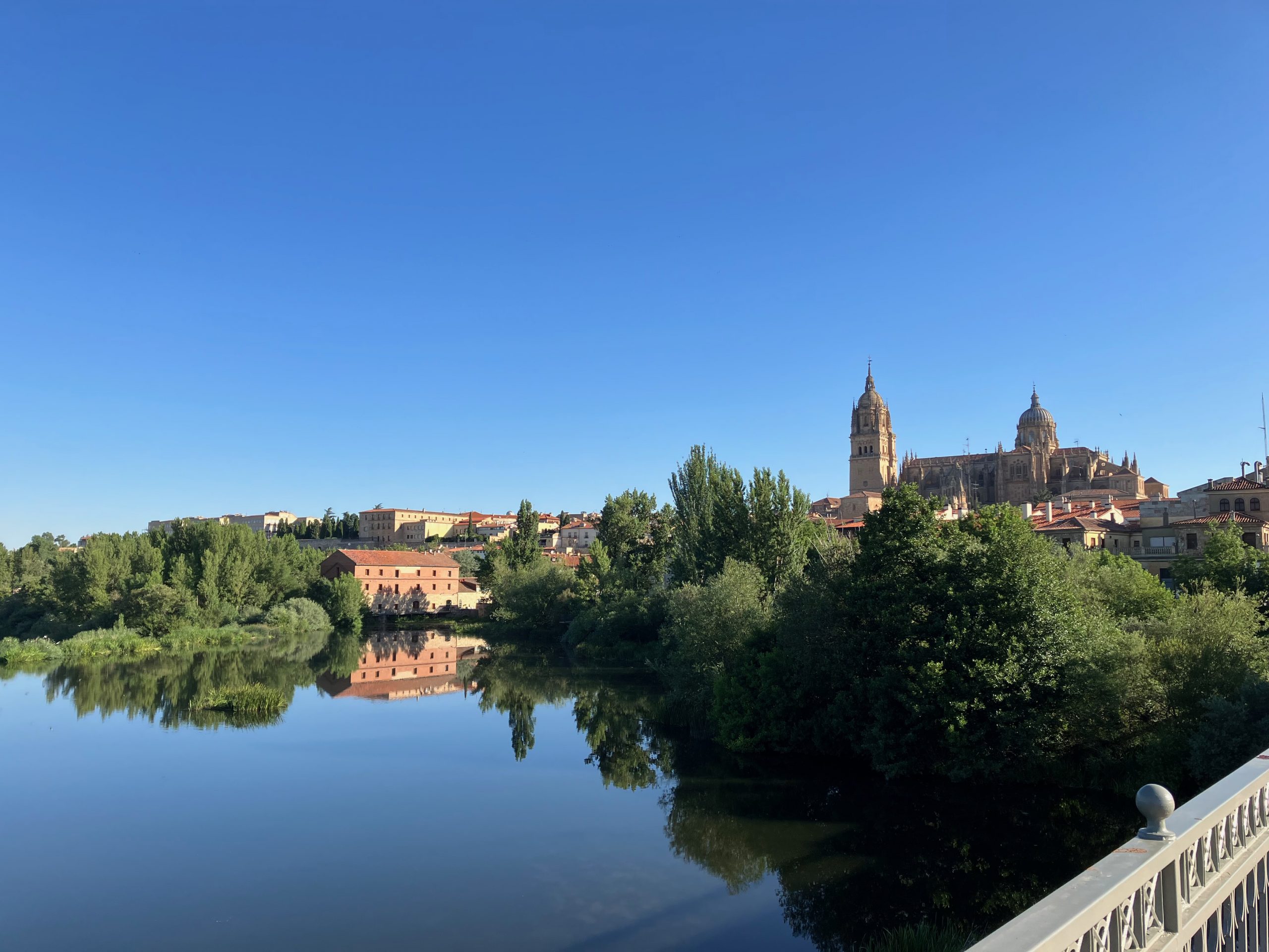 Normas de calificación